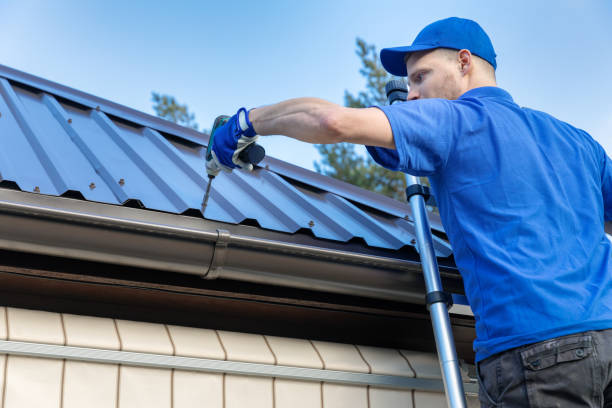 Best Roof Moss and Algae Removal  in Ravenswood, WV