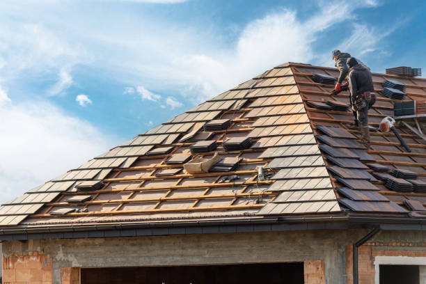 Best Wood Shake Roofing  in Ravenswood, WV